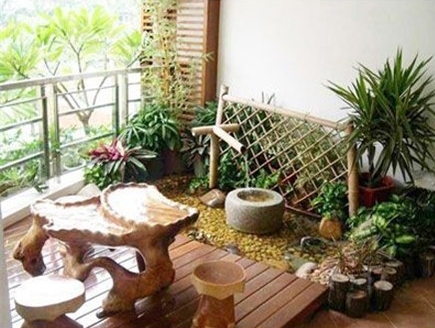 家里养什么植物风水好