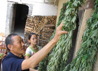 关于端午节日来历说法归纳 大师教你端午节驱邪转运风水10绝招